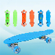 Factory Whole Sale Plastic Penny Skateboard manufacturer