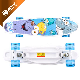 Skateboard Complete 7 Layers Deck Skate Board Maple Wood for Youths Beginners Girls Boys Kids manufacturer