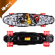 Longboards for Adults Teens Youths Beginners Girls Boys Kids Skateboard Complete 7 Layers Deck Skate Board Maple Wood manufacturer