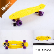 Colorful Plastic Penny Skateboard From Original Factory manufacturer