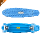  New Design 22 Inch Mini Plastic Fish Style Kids Skateboard for Outdoor Ms-QC921