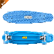 New Design 22 Inch Mini Plastic Fish Style Kids Skateboard for Outdoor Ms-QC921 manufacturer