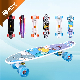 Mini 22 Inch Complete Blank Deck Plastic Fish Board Cruiser Skateboard with Big LED Wheel