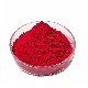 Best Quality Inclusion Red Ceramic Pigment Porcelain Glass Color Powder