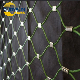  Architectural Flexible Cable Mesh Stainless Steel Wire Rope Balustrade