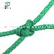 100% Wholesale Factory Price PE/HDPE/Polyethylene Braided Fishing Net manufacturer