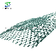 Standard and Customized Wholesale Price Gg+Grey+Green PE Fishing Net manufacturer