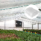 Protective High Temperature Resistant Agriculture Price Anti Nylon Mosquito Fabric Insect Net
