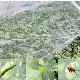 Fashion Custom 3 Years Xinhe Mosquito Nylon Screen Waterproof Price Insect Net