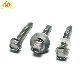  Stainless Steel Hex Wafer Head Roofing Screw Self Drilling Screw for Sheet Metal