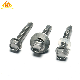 Stainless Steel Hex Wafer Head Roofing Screw Self Drilling Screw for Sheet Metal