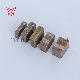  Best Quality Multi Cutting Saw Blade Segment Diamond Cutter Diamond Segment for Granite Marble Sandstone