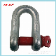  Steel Galvanized G210 Bolt Type Anchor Shackle for Rigging