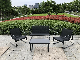 Outdoor 4PCS Patio/Garden Furniture Sofa and Chairs Set