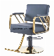 Foshan Factory Gold Frame Leather Salon Chair for Hairdressing Shop