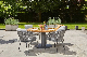 Timeless Outdoor White Mix Dining Table and Chair Furniture Set for Classic Style Lovers