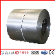 ASTM JIS SUS 201 202 301 304 316 310 Cold Rolled /Hot Rolled 0.6mm 0.8mm 1.0mm 1.2mm Thickness Stainless Steel Coil