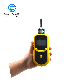 Skz1050-Odor Industrial Grade Odor Gas Measuring Meter Gas Leak Detector Portable Gas Analyzer Portable Gas Analyser Handheld