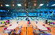 Bowling Lane System with Bowling Machines Installation for Sale