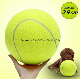 Dog Pet Toys Tennis Ball Hot Sale Customized OEM Inflated Giant Tennis Ball for Promotion