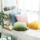 Throw Pillow Case, Cushion Cushion for Beddroom Sofa, Chair, Car Decoration 45*45cm manufacturer