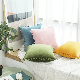 Throw Pillow Case, Cushion Cushion for Beddroom Sofa, Chair, Car Decoration 45*45cm