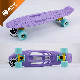 Portable 22 Inch Skateboard Penny Board Wholesale Color Plastic Skate Board PP Stkateboard manufacturer