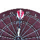  Round Wire Sisal Dart Board Game