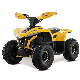 2023 New Launch Hot Sales 48V 1600W Electric ATV for Kids manufacturer