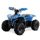 2023 New 48V 1600W Shaft Driven Kids Electric ATV manufacturer