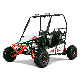 125cc Buggy Racing Go Kart for Adults manufacturer