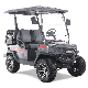 Hot Sale Mini Moke Elctric Golf Buggy Electric Golf Cart manufacturer