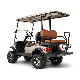  4 Passengers 48V 4kw Mini Go Kart Pickup Truck Lifted Hunting Cart Electric Golf Buggy Car Price with Back Seats