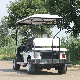 Electric Sightseeing Bus 4+2 Seater Battery Operated Golf Cart
