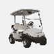  Low Price 2 Seats Golf Cart with High Quality
