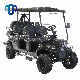  Lithium Battery Double a Arm Constrution 6 Seater Electric Car Golf Cart