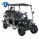 Lithium Battery Double a Arm Constrution 6 Seater Electric Car Golf Cart