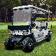 Wholesale White Golf Course Cart Airport Zone Dune Mobility Scooter 6 Passenger Transport Club Car Hunting Golf Carts Buggy for Sale