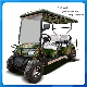 6-Seater Electric Hunting Golf Cart Beach Buggy with Rear Seats