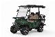  New Popular Design Electric Golf Trolley Lithium& Acid Battery Golf Buggy with Golf Bag Rack