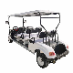 Multifunctional Golf Buggy with Great Price Electric Golf Carts