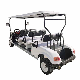  Multifunctional Golf Buggy with Great Price Electric Golf Carts