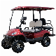 Four Wheeled 48V 4kw 5kw Electric off Road Golf Buggy with Batteries