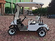 Buggy/Golf Can Be Cutomized Packed and Loaded by Container Electric Golf Carts Sale