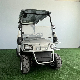 Suitable Price Two Seater Electric Golf Car Price for Sale