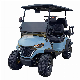  Hot Sale Electric Golf Car 2 or 4 Person Electric Golf Cart