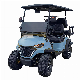 Hot Sale Electric Golf Car 2 or 4 Person Electric Golf Cart