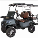  Golf Cart Car New High Quality Electric Intelligent Golf Cart Buggy