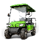 2+2 4 Seat Buggy Car Four Wheel Electric Club Car Green Golf Cart for Sale manufacturer