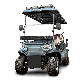 Fyd-Gl-E4+2 6 Seats off-Road Tire Hunting Electric Golf Car Blue with AC Motor manufacturer